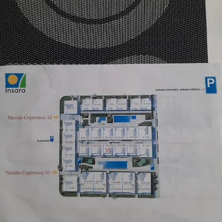 Amalia Fase 2 Apr. 35 * 托雷维耶哈